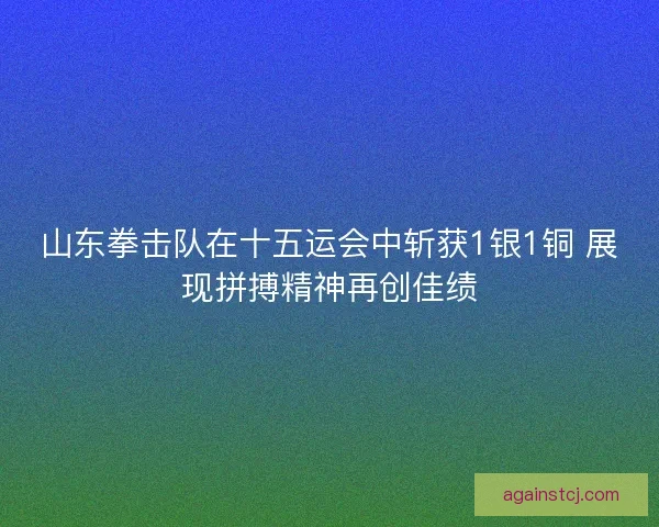 山东拳击队在十五运会中斩获1银1铜 展现拼搏精神再创佳绩